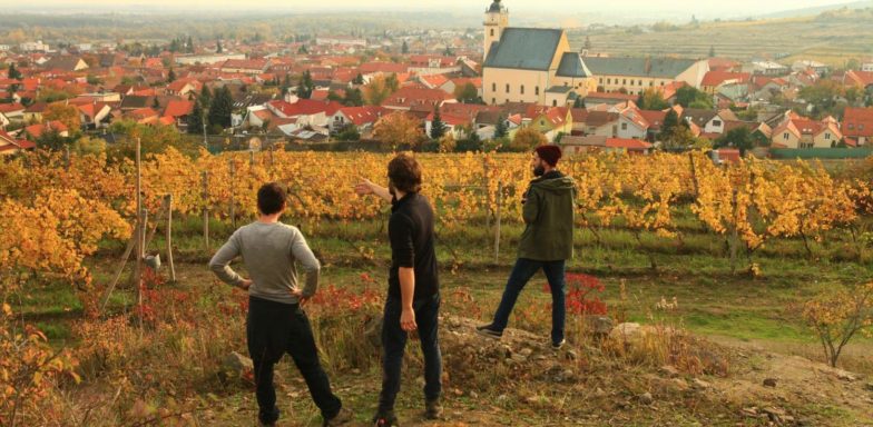 Carpathian Wine Tour