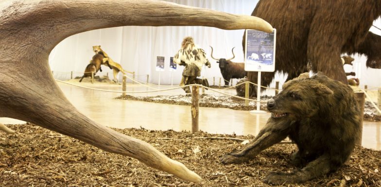 New digital technology at the Natural History Museum
