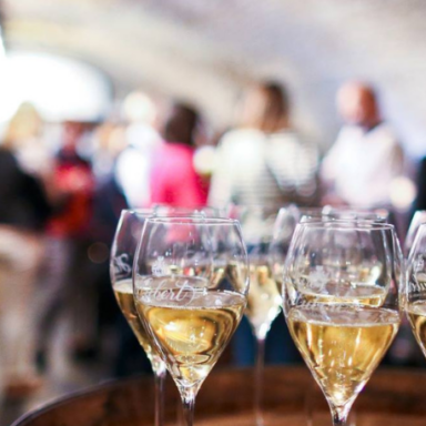 Weinsalon der Slowakischen Republik