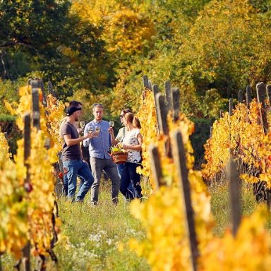 5 + 5 Top Wine Experiences