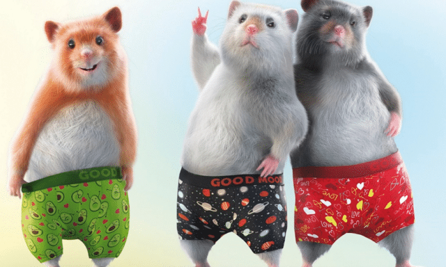 Colourful socks and dancing hamsters?