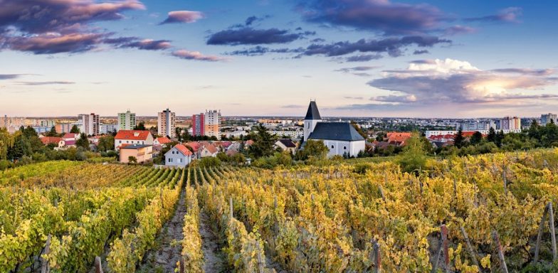Najzelenšie časti Bratislavy, kde nájdete prírodu i víno