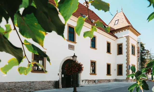 Special Venues: Pálffy Castle