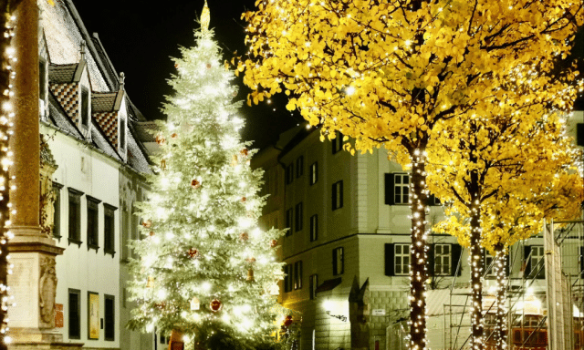 Bratislava’s Mayor Lit Up Christmas Lights Virtually