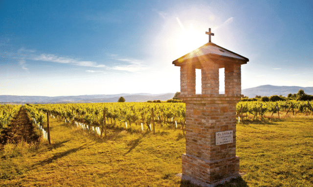 Enjoy Slovakia DMC tackling epidemiological restrictions with innovative ideas