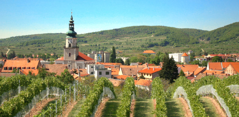 Modranské vinobranie