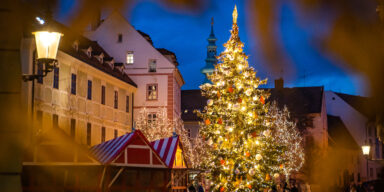 Bratislava Christmas is back!