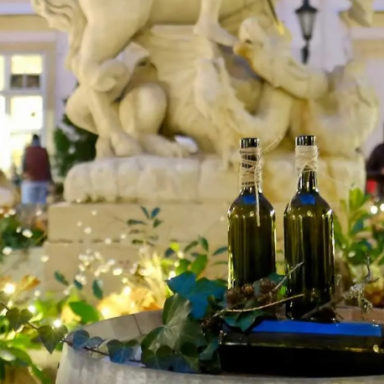 Bratislava celebrates young wines on Martinmas