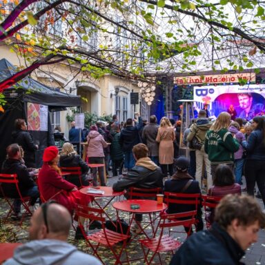 Young Wine Festival – pleasant atmosphere
