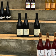 Weinstube der Naturwinzer