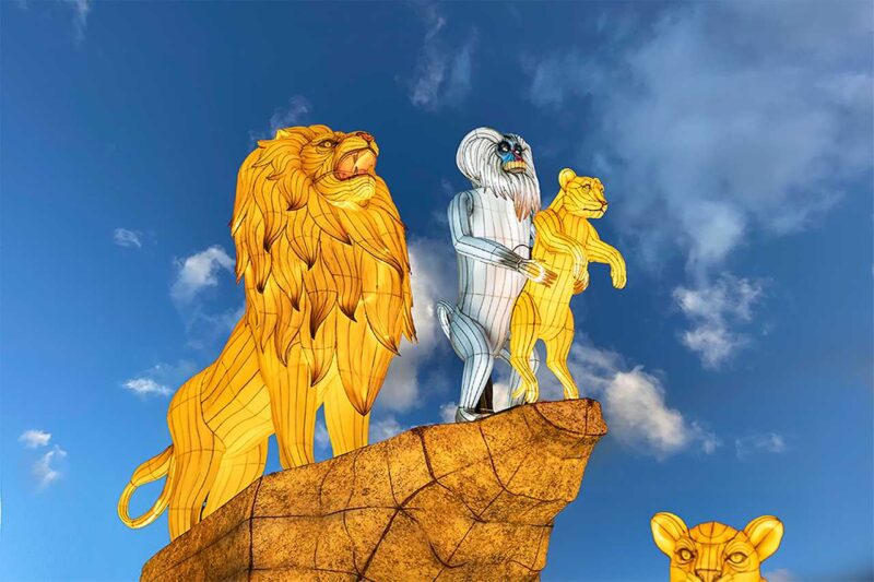 lion king svetelná inštalácia
