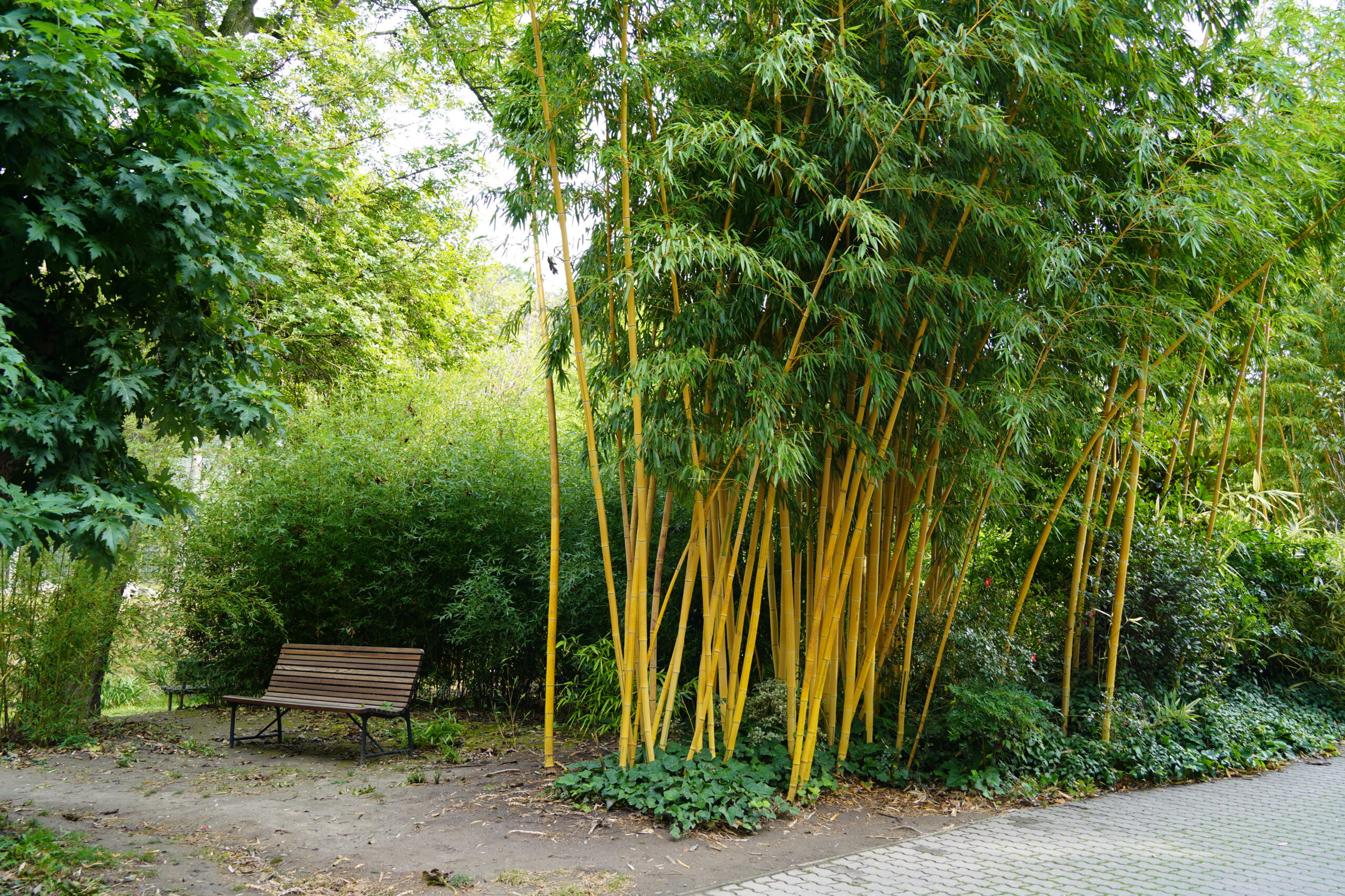 zoo, bratislava, park, jar