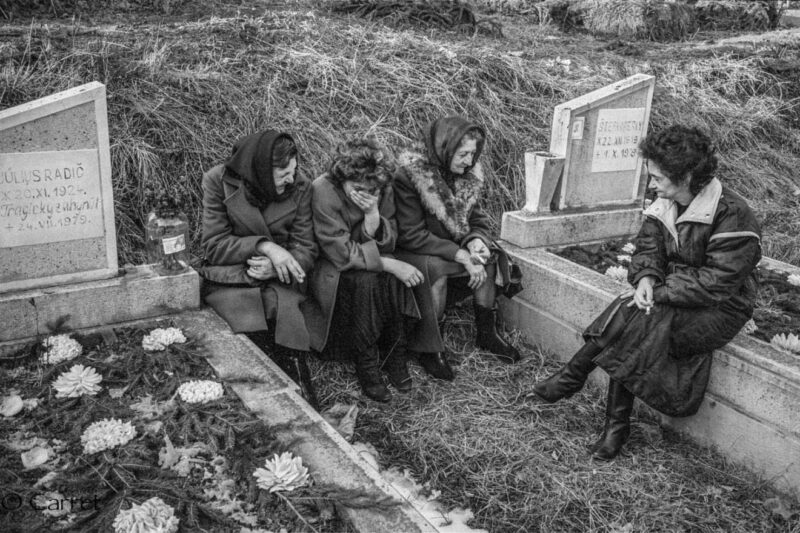 Carettovci Blízki a vzdialení Klenovec 1990