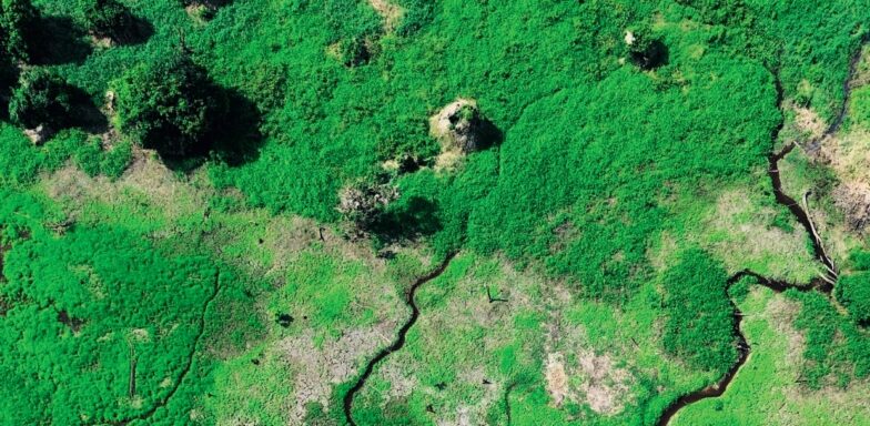 ZAŽITE DEŇ ZEME S PRÍRODOVEDCAMI