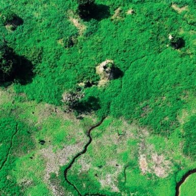 EXPERIENCE EARTH DAY WITH NATURAL SCIENTISTS