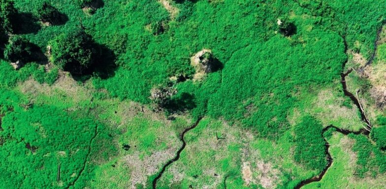 EXPERIENCE EARTH DAY WITH NATURAL SCIENTISTS